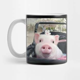 Piglets That Are Even Cuter Than Kittens 3 Mug